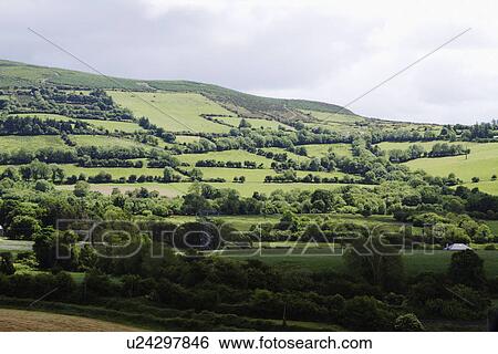 Trees on a landscape, Republic of Ireland View Large Photo Image Stock Photograph - Trees on a landscape, Republic of Ireland. Fotosearch