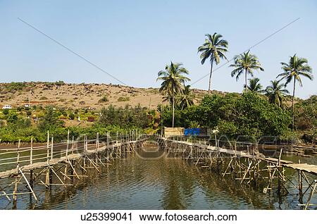 Two wooden bridges across the river, Goa, India View Large Photo Image Stock Image - Two wooden bridges across the river, Goa, India. Fotosearch