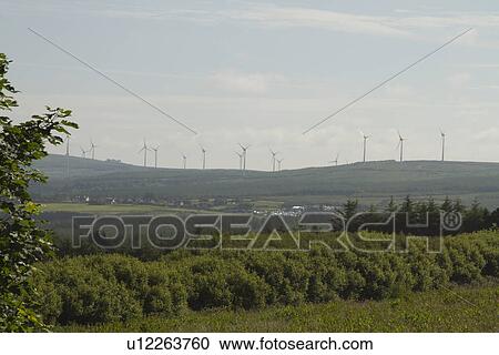 Wind turbines on a hill, Tralee, County Kerry, Republic of Ireland View Large Photo Image Stock Image - Wind turbines on a hill, Tralee, County Kerry, Republic of Ireland. Fotosearch