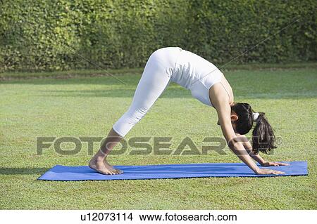 Picture - Woman doing Surya Namaskar (Sun Slautation). Fotosearch