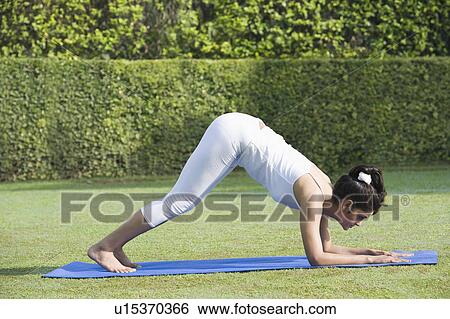 Stock Photograph - Woman doing Surya Namaskar (Sun Slautation). Fotosearch