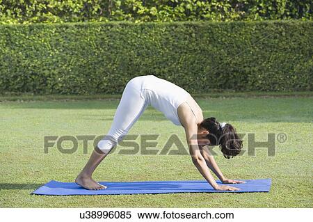 Woman doing Surya Namaskar (Sun Slautation) View Large Photo Image Stock Photography - Woman doing Surya Namaskar (Sun Slautation). Fotosearch