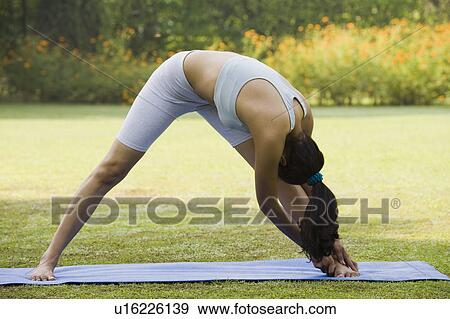 Woman exercising View Large Photo Image Stock Photo - Woman exercising. Fotosearch