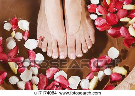 Woman getting a pedicure treatment View Large Photo Image Picture - Woman getting a pedicure treatment. Fotosearch