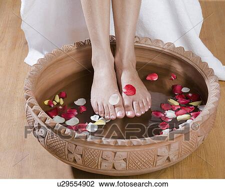 Woman getting a pedicure treatment View Large Photo Image Stock Image - Woman getting a pedicure treatment. Fotosearch
