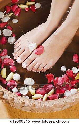 Woman getting a pedicure treatment View Large Photo Image Stock Photography - Woman getting a pedicure treatment. Fotosearch