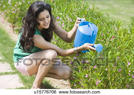 Woman watering plants View Large Photo Image Stock Photograph - Woman watering plants. Fotosearch