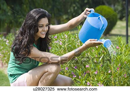 Woman watering plants View Large Photo Image Stock Photography - Woman watering plants. Fotosearch