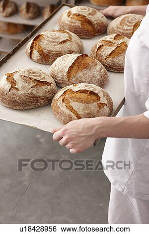 Chef carrying tray of bread in kitchen View Large Photo Image Stock Photograph - Chef carrying tray of bread in kitchen. Fotosearch