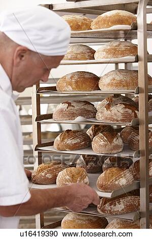 Chef putting tray of bread on rack View Large Photo Image Stock Image - Chef putting tray of bread on rack. Fotosearch