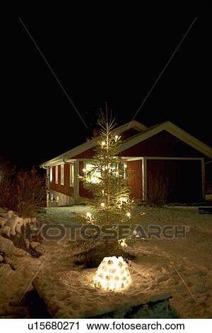 Stock Image - Christmas tree lit up in snow. Fotosearch
