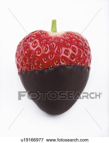 Close up of chocolate covered strawberry View Large Photo Image Stock Photo - Close up of chocolate covered strawberry. Fotosearch