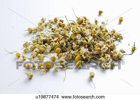 Picture - Close up of pile of tea leaves. Fotosearch