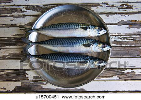 Close up of plate of mackerels View Large Photo Image Stock Image - Close up of plate of mackerels. Fotosearch