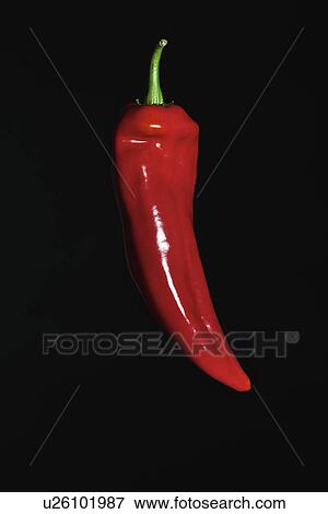 Close up of red chili pepper View Large Photo Image Stock Photo - Close up of red chili pepper. Fotosearch