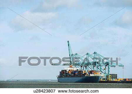 Stock Photo - Container ship docked at harbor. Fotosearch