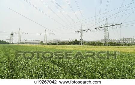 Factory power lines over fields View Large Photo Image Stock Image - Factory power lines over fields. Fotosearch