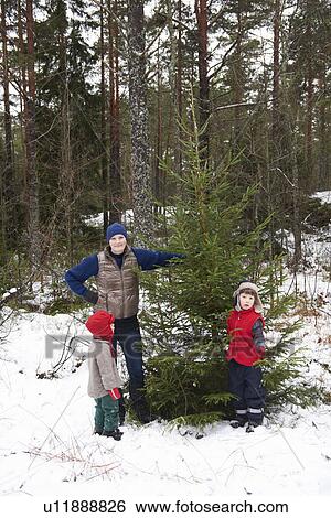 Family picking Christmas tree outdoors View Large Photo Image Stock Photograph - Family picking Christmas tree outdoors. Fotosearch