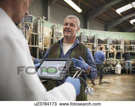 Farmer and vet talking in milking parlor View Large Photo Image Stock Image - Farmer and vet talking in milking parlor. Fotosearch