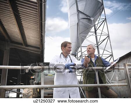 Stock Photo - Farmer and veterinarian talking at barn. Fotosearch