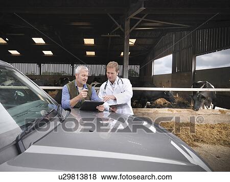 Stock Photo - Farmer and veterinarian talking by barn. Fotosearch