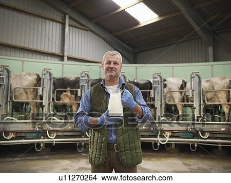 Farmer holding milk in milking parlor View Large Photo Image Picture - Farmer holding milk in milking parlor. Fotosearch