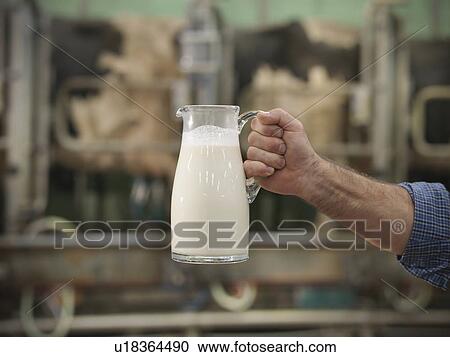 Stock Image - Farmer holding milk in milking parlor. Fotosearch