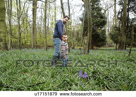 Father and son walking in forest View Large Photo Image Stock Photo - Father and son walking in forest. Fotosearch