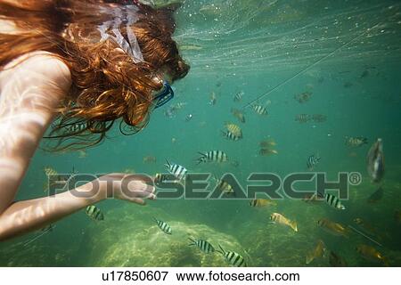Girl snorkeling in tropical waters View Large Photo Image Stock Photo - Girl snorkeling in tropical waters. Fotosearch