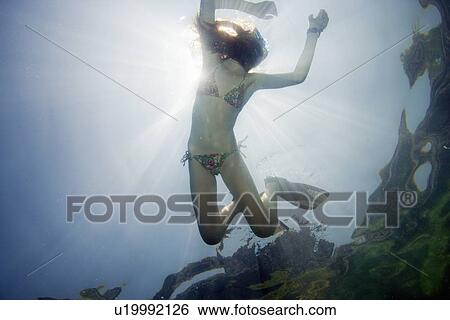 Girl snorkeling in tropical waters View Large Photo Image Stock Photograph - Girl snorkeling in tropical waters. Fotosearch