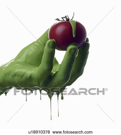 Green painted hand holding tomato View Large Photo Image Stock Photo - Green painted hand holding tomato. Fotosearch