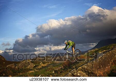 Mountain biker on grassy hillside View Large Photo Image Stock Photo - Mountain biker on grassy hillside. Fotosearch