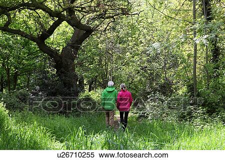 Older couple walking in forest View Large Photo Image Stock Photography - Older couple walking in forest. Fotosearch