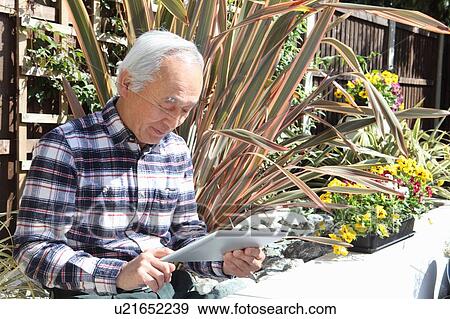 Older man using tablet computer outdoors View Large Photo Image Stock Photo - Older man using tablet computer outdoors. Fotosearch