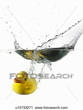 Rubber duck plunging into water View Large Photo Image Stock Image - Rubber duck plunging into water. Fotosearch