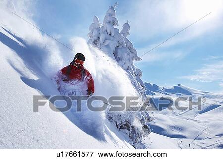 Skier coasting on snowy slope View Large Photo Image Stock Photo - Skier coasting on snowy slope. Fotosearch