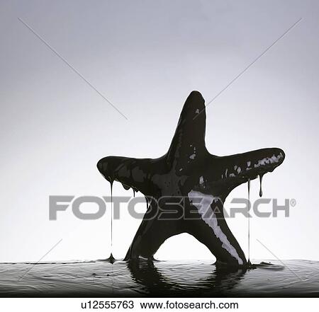 Starfish covered in oil View Large Photo Image Stock Image - Starfish covered in oil. Fotosearch