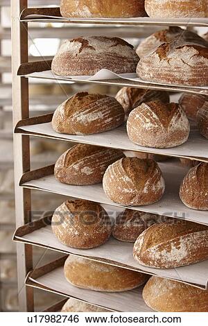 Stock Photograph - Trays of bread on rack in kitchen. Fotosearch