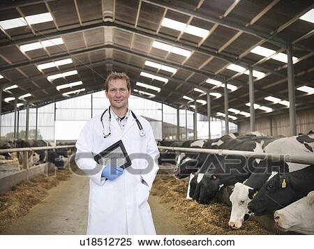 Veterinarian with tablet computer View Large Photo Image Stock Photography - Veterinarian with tablet computer. Fotosearch