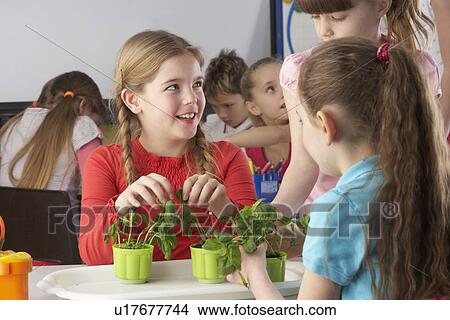 Children learning about plants in school class View Large Photo Image Picture - Children learning about plants in school class. Fotosearch