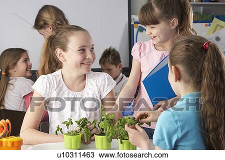 Children learning about plants in school class View Large Photo Image Stock Image - Children learning about plants in school class. Fotosearch