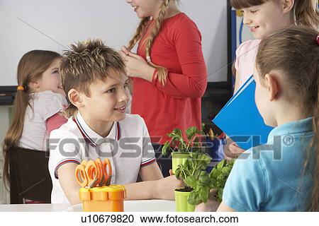 Children learning about plants in school class View Large Photo Image Stock Image - Children learning about plants in school class. Fotosearch