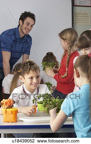 Children learning about plants in school class View Large Photo Image Stock Image - Children learning about plants in school class. Fotosearch