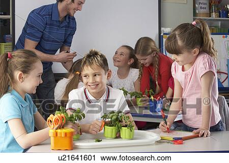 Children learning about plants in school class View Large Photo Image Stock Image - Children learning about plants in school class. Fotosearch