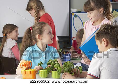 Stock Image - Children learning about plants in school class. Fotosearch