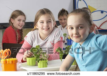 Children learning about plants in school class View Large Photo Image Stock Photography - Children learning about plants in school class. Fotosearch