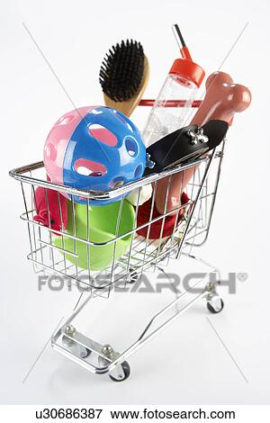 Dog ownership concept View Large Photo Image Stock Photo - Dog ownership concept. Fotosearch