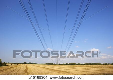 Electricity pylon and lines in countryside View Large Photo Image Picture - Electricity pylon and lines in countryside. Fotosearch