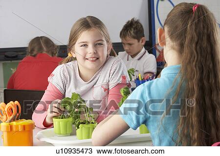 Girl learning about plants in school class View Large Photo Image Stock Image - Girl learning about plants in school class. Fotosearch