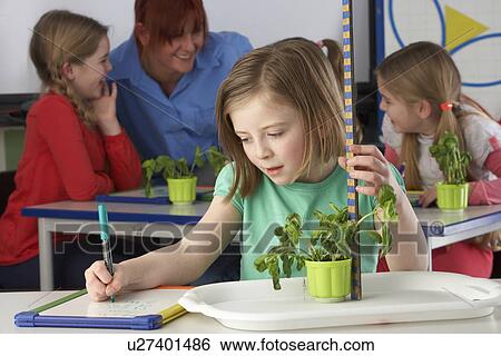 Stock Photograph - Girl learning about plants in school class. Fotosearch